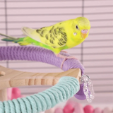 Solid Wood Rotary Tabletop Bird Perch Detachable
