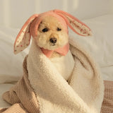 Knitted Dog Hat with Rabbit Ears – Warm Autumn/Winter Cap for Small Dogs & Puppies