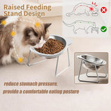 Stainless Steel Cat Bowl – Raised Whisker Fatigue Relief Dish