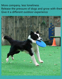 Silicone Dog Flying Disc – Interactive Training Toy