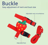 Rabbit Cat Harness – Small Animal Walking Set