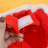 New Year's Tiger Costume for Pets