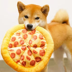 Pizza Plush Squeak Toy – Fun Chew & Teeth Trainer for Dogs