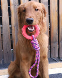 Supet Spiked Ring Dog Toy – Interactive Teeth Cleaning Chew
