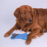 Plush Squeaky Bone Dog Toy – Soft & Fun Stuffed Toy for Small, Medium & Large Dogs | Perfect Puppy Birthday Gift