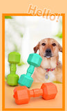 TPR Dumbbell Dog Toy – Squeaky Chew for Teeth Cleaning