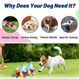 Cartoon Plush Dog Toy – Squeaky Bite Resistant