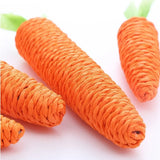 Cat toy - carrot teething and cat teasing sticks, bite-resistant and scratch-resistant for teething and clawing