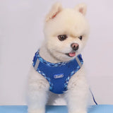 Adjustable No-Pull Dog Harness for Small Dogs