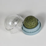 Catnip Wall Ball Toy – Healthy Cat Grass Treat & Scratcher | Natural Snack Aids Digestion & Keeps Cats Entertained