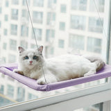 Cat Window Hammock – Washable Detachable Pet Bed