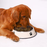 Stainless Steel Pet Bowl – Non-Slip Cat Dog Feeder