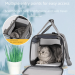 Large Foldable Breathable Cat Transport Bags