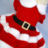 Soft Christmas Santa Dress for Small Pets
