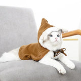 Funny Christmas Costume for Pets