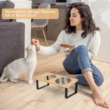 15° Tilted Elevated Cat/Dog Bowls