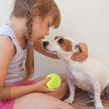 Durable Dog Chewing Squeak Toy Ball Outdoor Throwing Dog Recovery Training Pet Supplies