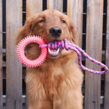 Supet Spiked Ring Dog Toy – Interactive Teeth Cleaning Chew