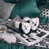 Summer Dog Pajamas – Lightweight Shirt & Coat for Small Dogs