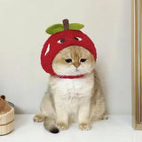 blueberry/apple Hat for small Pets