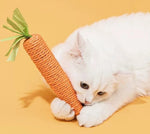 Cat toy - carrot teething and cat teasing sticks, bite-resistant and scratch-resistant for teething and clawing