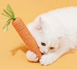 Cat toy - carrot teething and cat teasing sticks, bite-resistant and scratch-resistant for teething and clawing