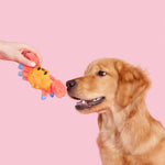 Plush Toy for Dogs (Sally Bitefoot Crab)