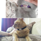 Velvet Cat Collar with Heart Charm & Bell
