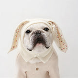 Cute Rabbit Ears Pet Knitted Hat