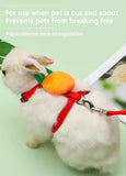 Rabbit Cat Harness – Small Animal Walking Set