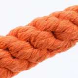 Carrot Rope Dog Chew Toy – Durable Cotton, Safe for Puppies, Teeth Cleaning & Bite-Resistant