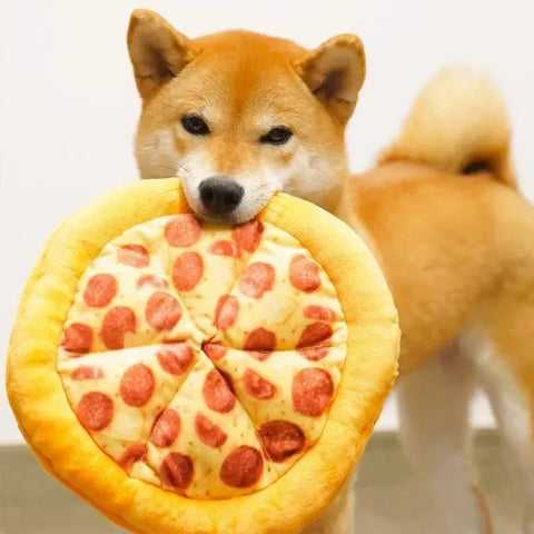 Pizza Plush Squeak Toy – Fun Chew & Teeth Trainer for Dogs