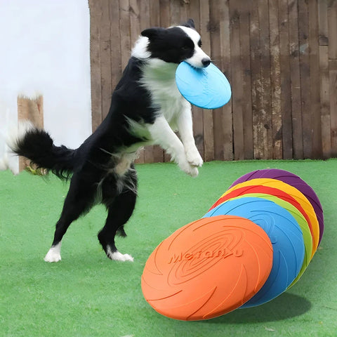 Silicone Dog Flying Disc – Outdoor Training Toy
