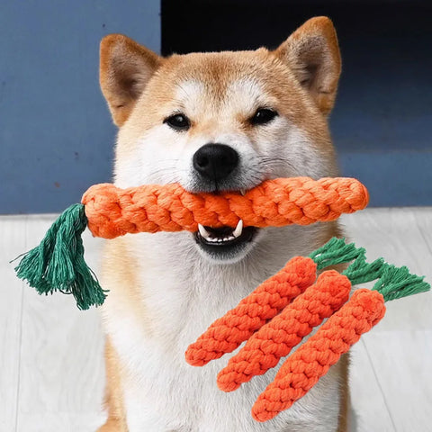 Carrot Rope Dog Chew Toy – Durable Cotton, Safe for Puppies, Teeth Cleaning & Bite-Resistant