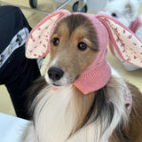 Knitted Dog Hat with Rabbit Ears – Warm Autumn/Winter Cap for Small Dogs & Puppies