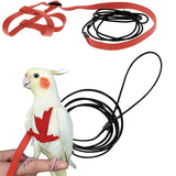 Bird Harness Leash for Conures Adjustable