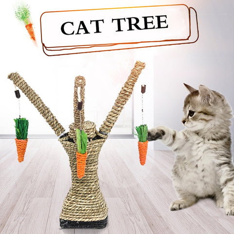 Pet Scratching Post Toy