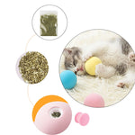 Smart Cat Toys Interactive Ball Catnip