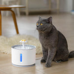 Automatic Pet Cat Water Fountain with LED Lighting 5 Pack Filters 2.4L USB Dogs Cats Mute Drinker Feeder Bowl Drinking Dispenser