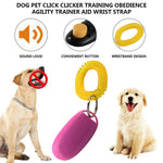 Dog Training German Shepherd Collar