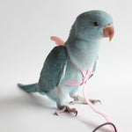 Adjustable Pet Parrot Harness Leash