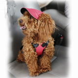 cute fashion color Hat Windproof