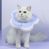 Wholesale Pet Soft E-Collar Cushioned