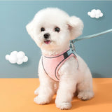 Kat Harness Leash Set Chihuahua