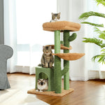 6 Kinds Cat Toy Scratching Post Wood Climbing Tree