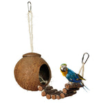 Cute Comfortable Design Natural Coconut Shell