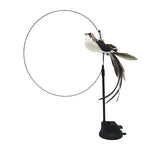 Funny Simulation Bird Interactive Cat Feather