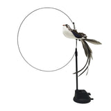 Funny Simulation Bird Interactive Cat Feather