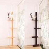 Cat Climbing Frame Scratching Post Tree