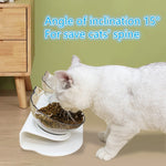 Non-Slip Double Cat Bowl Pet Water Food